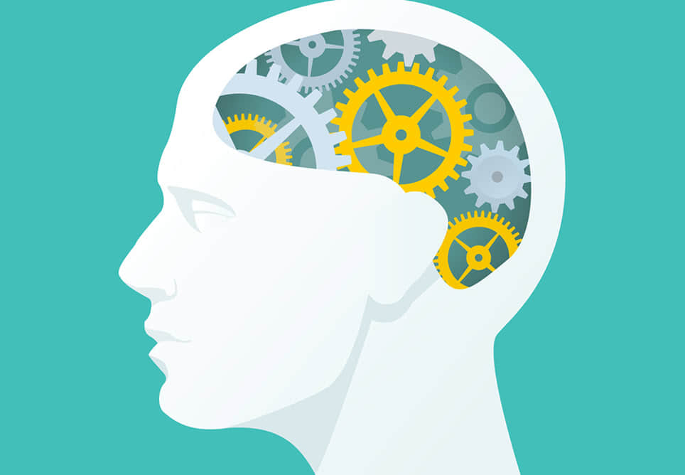 Como ser autodidata e aprender a pesquisar